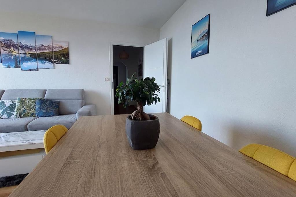 Cosy Avec Vue Sur Le Leman Appartement Évian-les-Bains