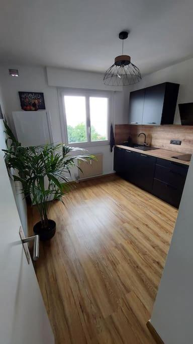 Cosy Avec Vue Sur Le Leman Appartement