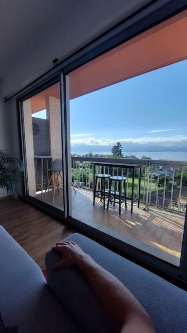 Appartement Cosy Avec Vue Sur Le Leman